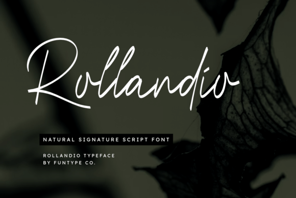 Rollandio: A Script Font for Impactful Campaigns