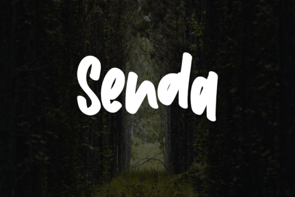 Senda: A Versatile Font for Modern Web Design